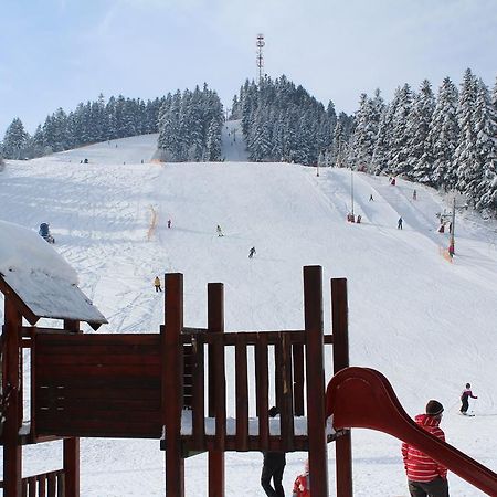 Pinewood Valley Oasis Вишне-Ружбахи Екстер'єр фото