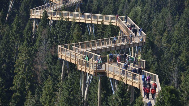Pinewood Valley Oasis Вишне-Ружбахи Екстер'єр фото